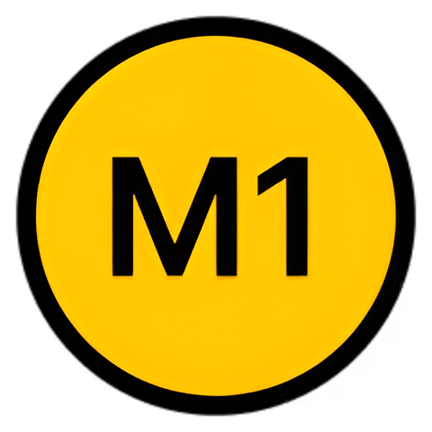 M1 PROJECT – Customer Research (Elsa AI)